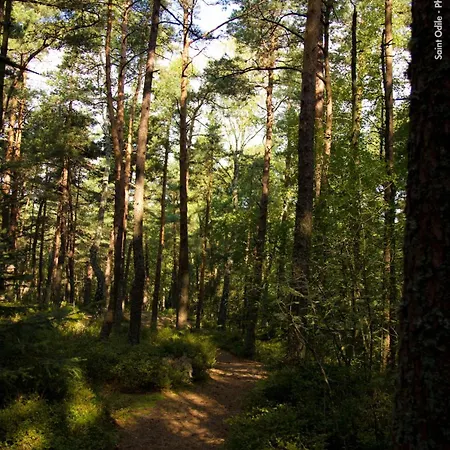 La Parenthese En Alsace - Mont Sainte Odile Ottrott